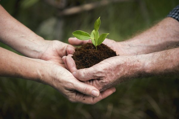 What Are the Best Practices for UK Wildlife Conservation?